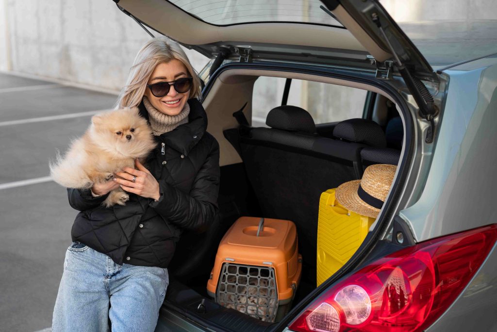 Safe, Stress-Free Transportation for Modern Pet Owners